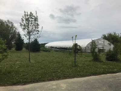Poljoprivredna i veterinarska škola Osijek- sadnice