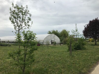 Poljoprivredna i veterinarska škola Osijek- sadnice