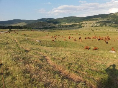 Poljoprivredna na potpomognutim područjima