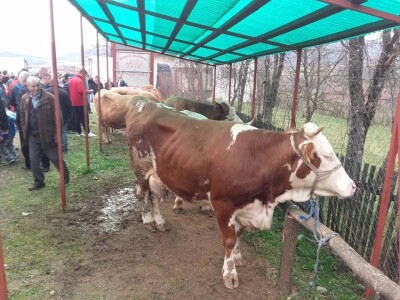Poljoprivredna na potpomognutim područjima
