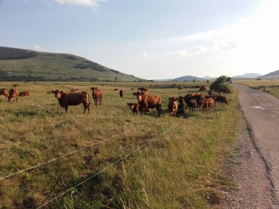 Poljoprivredna na potpomognutim područjima