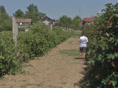 Poljoprivredna škola sa Domom učenika Valjevo