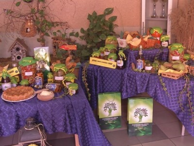 Poljoprivredna škola sa Domom učenika Valjevo