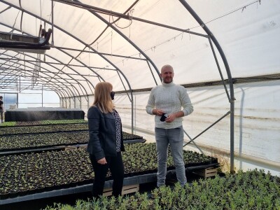 Poljoprivredna škola- sadnice