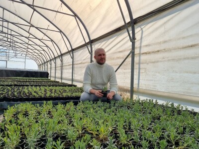 Poljoprivredna škola- sadnice