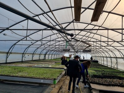 Poljoprivredna škola- sadnice