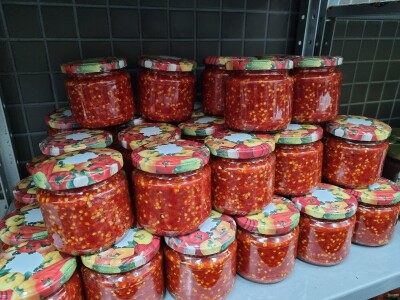 Poljoprivredna škola- sadnice