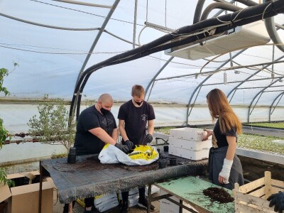 Poljoprivredna škola- sadnice