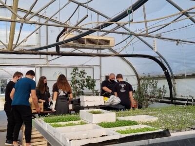 Poljoprivredna škola- sadnice