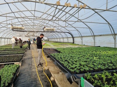 Poljoprivredna škola- sadnice