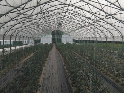 Poljoprivredna zadruga "Agroneven"