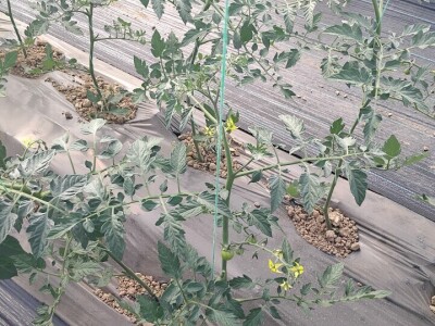 Poljoprivredna zadruga "Agroneven"