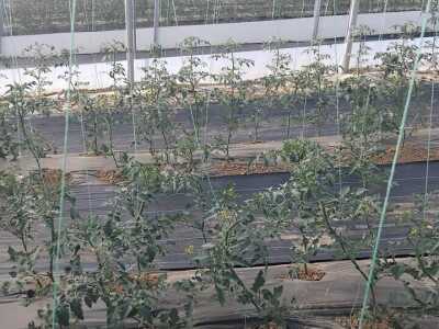 Poljoprivredna zadruga "Agroneven"