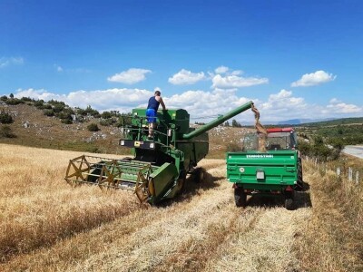 Poljoprivredna zadruga "Gvozno"