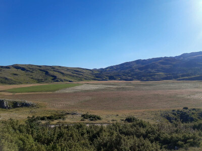 Poljoprivredna zadruga "Gvozno"