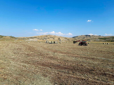 Poljoprivredna zadruga "Gvozno"