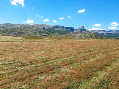 Poljoprivredna zadruga "Gvozno"
