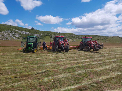 Poljoprivredna zadruga "Gvozno"