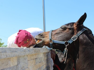 Poljoprivredna zadruga Masvin, Polača