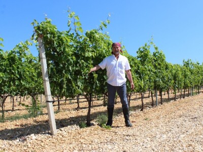 Poljoprivredna zadruga Masvin, Polača