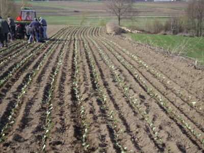 Poljoprivredna zadruga Ogulin