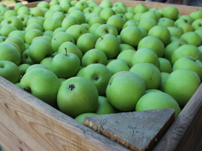 Poljoprivredna zadruga PMG-VIP Poljoprivredna zadruga PMG-VIP