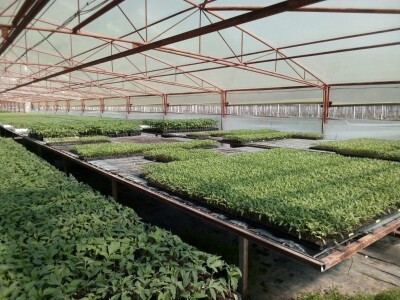 Poljoprivredna zadruga Sunce ima povjerenje svojih kupaca