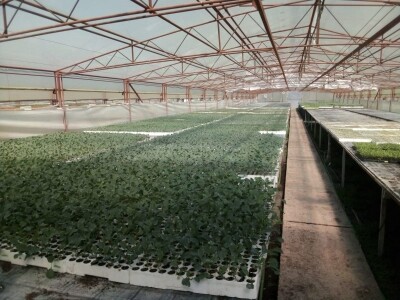 Poljoprivredna zadruga Sunce ima povjerenje svojih kupaca