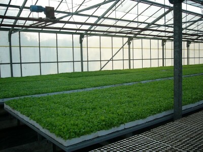 Poljoprivredna zadruga Sunce ima povjerenje svojih kupaca