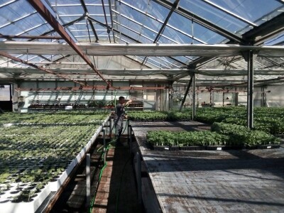 Poljoprivredna zadruga Sunce ima povjerenje svojih kupaca