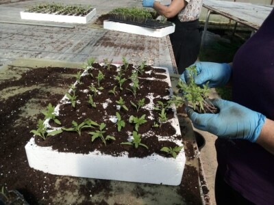 Poljoprivredna zadruga Sunce ima povjerenje svojih kupaca