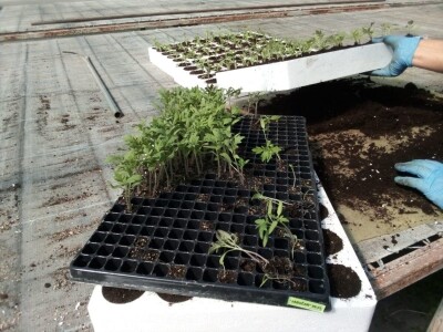 Poljoprivredna zadruga Sunce ima povjerenje svojih kupaca