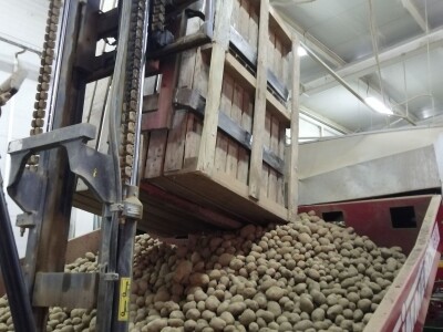 Poljoprivredna zadruga „Varaždinsko povrće“ jedina je proizvođačka organizacija u Varaždinskoj županiji Poljoprivredna zadruga „Varaždinsko povrće“ jedina je proizvođačka organizacija u Varaždinskoj županiji