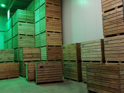 Poljoprivredna zadruga „Varaždinsko povrće“ jedina je proizvođačka organizacija u Varaždinskoj županiji Poljoprivredna zadruga „Varaždinsko povrće“ jedina je proizvođačka organizacija u Varaždinskoj županiji