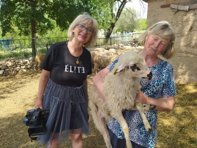 Poljoprivredne emisije u Hrvatskoj