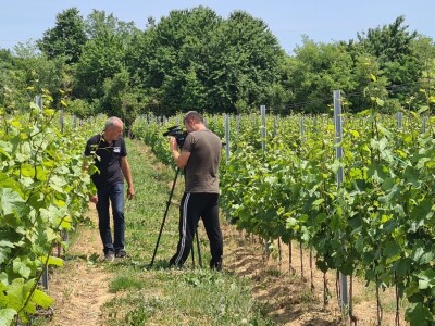 Poljoprivredne emisije u Hrvatskoj