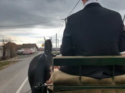 Poljoprivredne emisije u Hrvatskoj