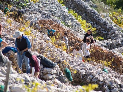 Poljoprivredne terase Poljoprivredne terase