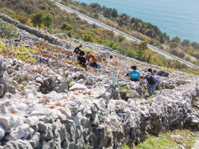 Poljoprivredne terase Poljoprivredne terase