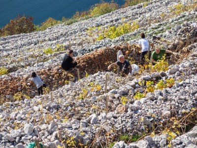 Poljoprivredne terase Poljoprivredne terase