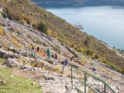 Poljoprivredne terase Poljoprivredne terase