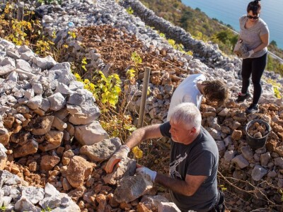 Poljoprivredne terase Poljoprivredne terase