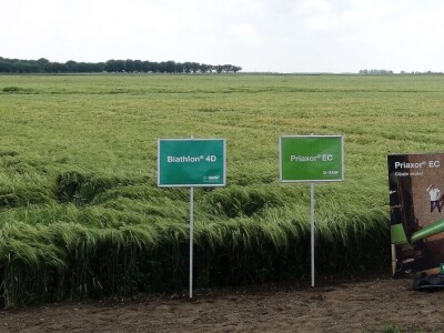 Poljoprivredni Institut Osijek, Dan polja pšenice i ječma, 5. 6. 2019.