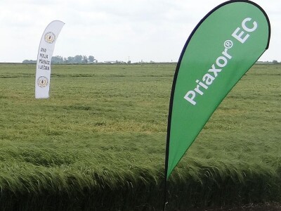 Poljoprivredni Institut Osijek, Dan polja pšenice i ječma, 5. 6. 2019.