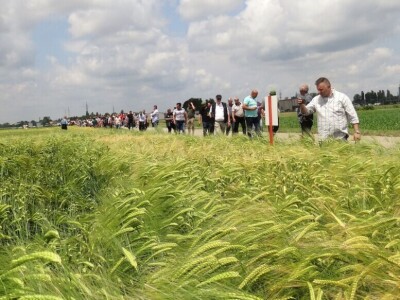 Poljoprivredni Institut Osijek, Dan polja pšenice i ječma, 5. 6. 2019.