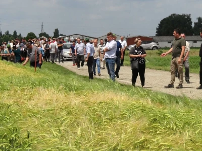 Poljoprivredni Institut Osijek, Dan polja pšenice i ječma, 5. 6. 2019.
