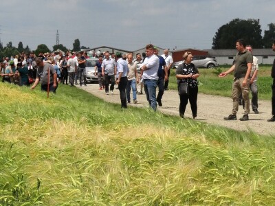 Poljoprivredni Institut Osijek, Dan polja pšenice i ječma, 5. 6. 2019.