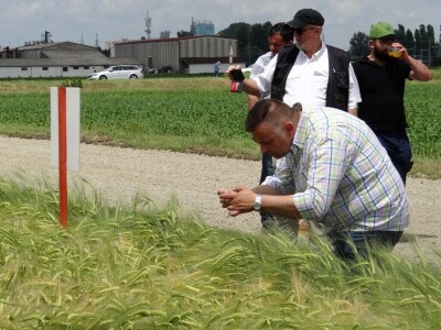 Poljoprivredni Institut Osijek, Dan polja pšenice i ječma, 5. 6. 2019.