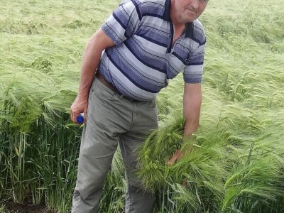 Poljoprivredni Institut Osijek, Dan polja pšenice i ječma, 5. 6. 2019.