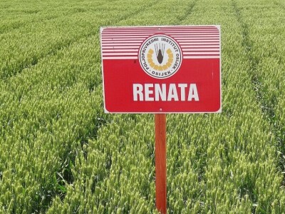 Poljoprivredni Institut Osijek, Dan polja pšenice i ječma, 5. 6. 2019.